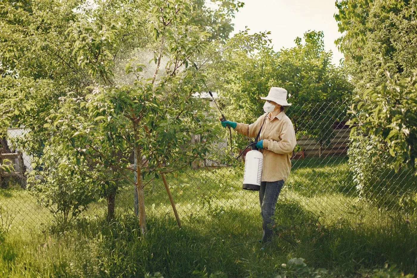 Treating a garden for pests