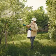 Pest control treatment