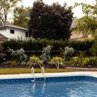 A clean backyard pool