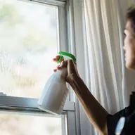 Clean windows