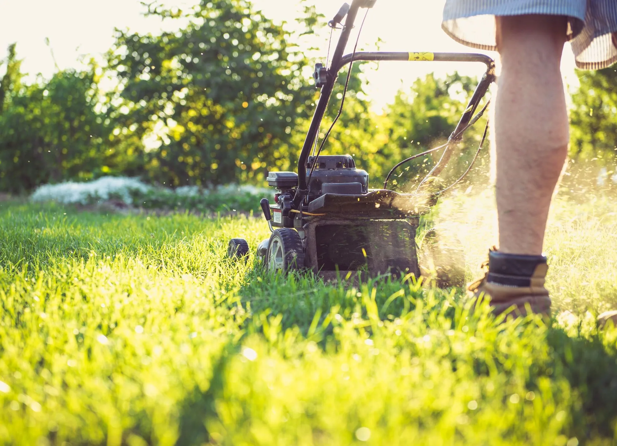 Someone mowing a sunlit backyard lawn, clippings flying from the mower