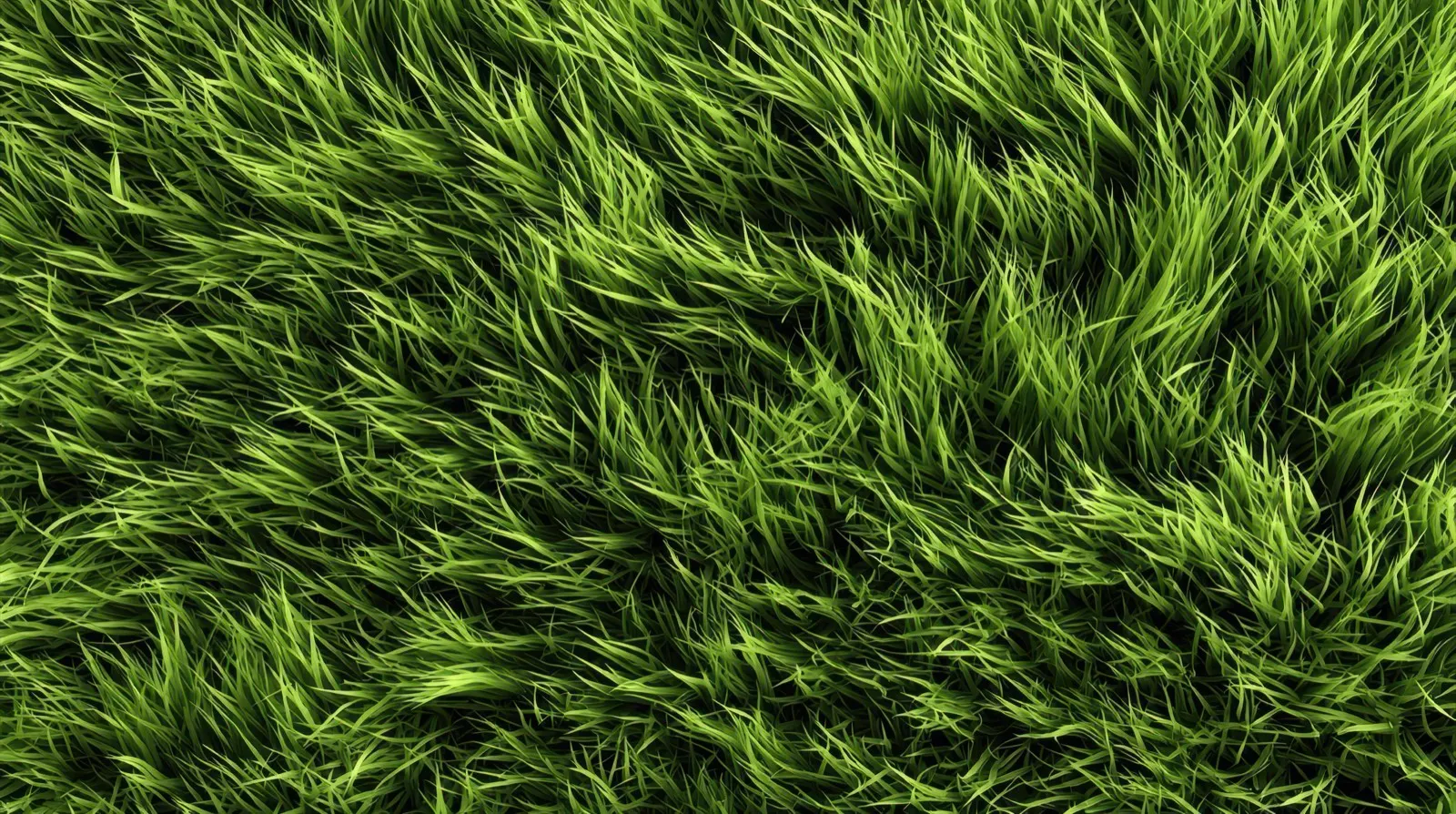 Freshly mowed lawn on the Mornington Peninsula